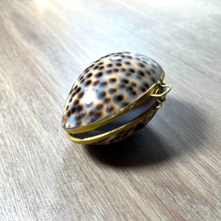 Boite léopard escargot