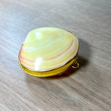 Boite en coquillage blanc